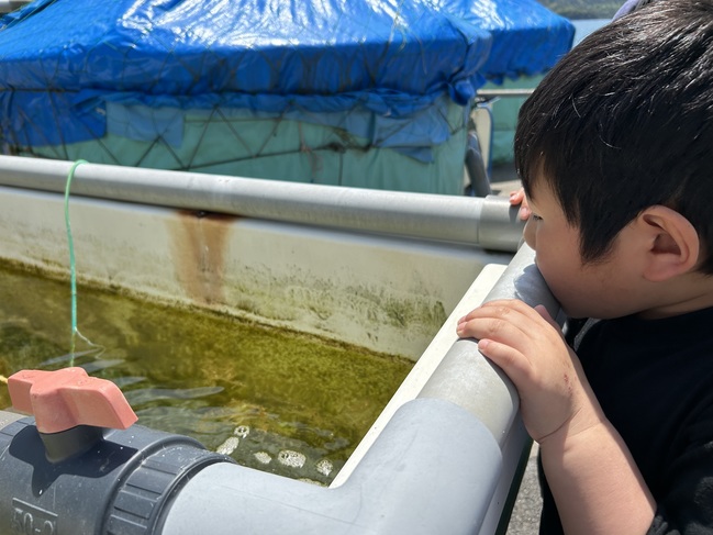 遠足
