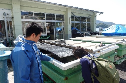 水産
