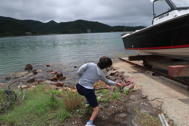 野外活動