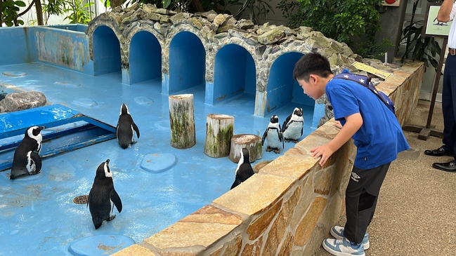 修学旅行