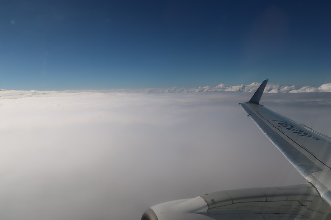 修学旅行