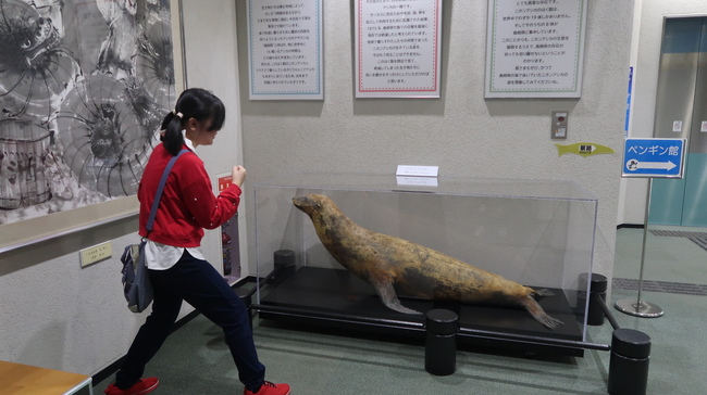 R8中学部修学旅行8